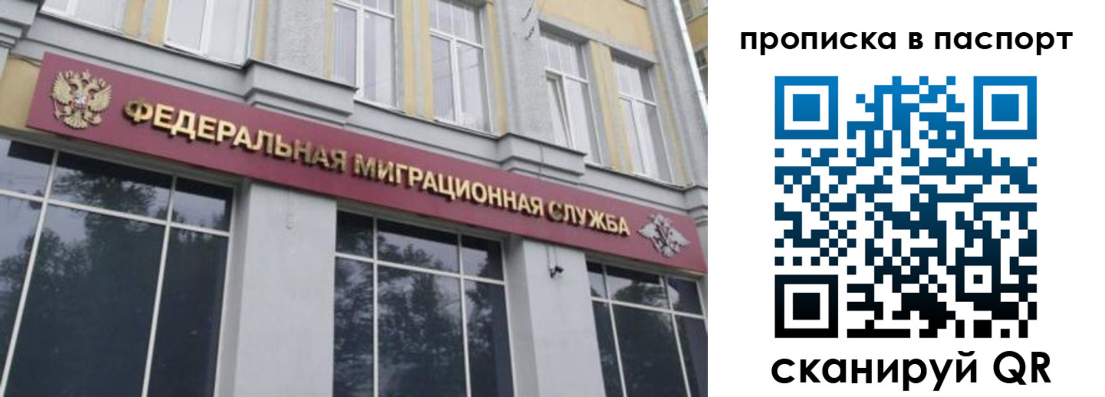 где прописаться в Козельске
